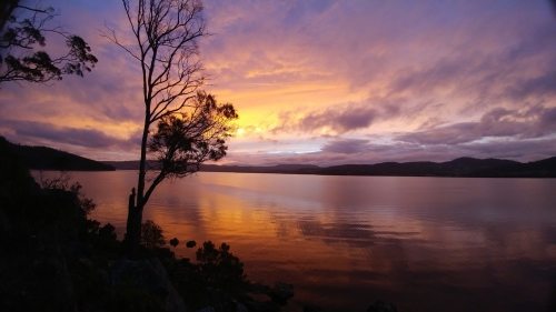 Bikram Yoga and Bushwalking Retreat 